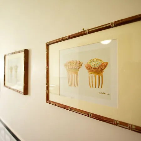 Mercure Centro